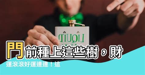 門前種什麼好|【門前的風水樹】門前種什麼樹風水好種對了樹好運連連 